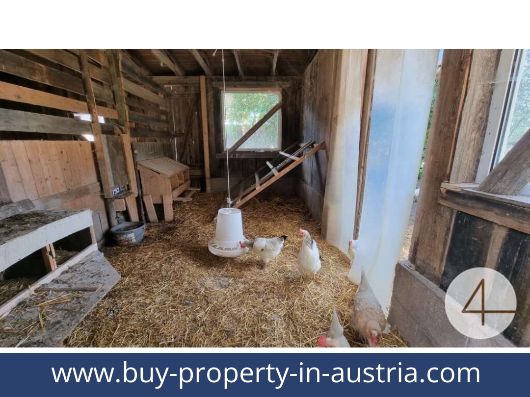 buy-property-in-austria-lichtenberg-3841-20250912041723-0011701009.jpg
