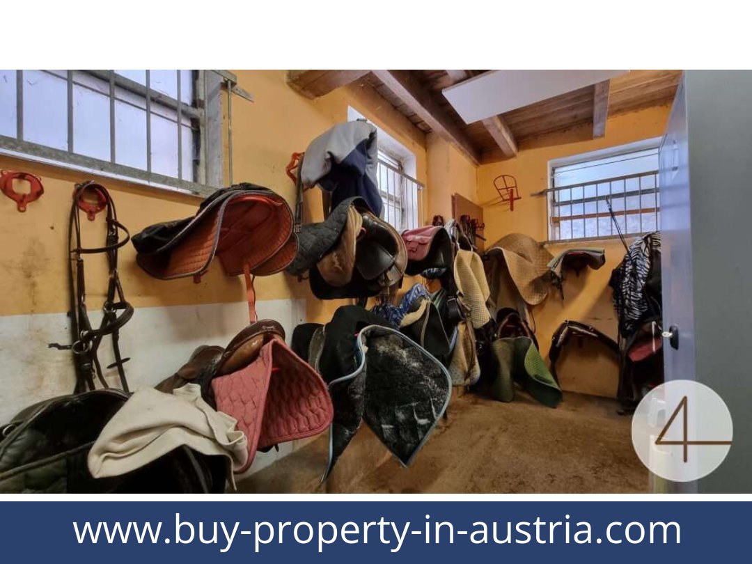 buy-property-in-austria-lichtenberg-3841-20250912041723-0011701026.jpg
