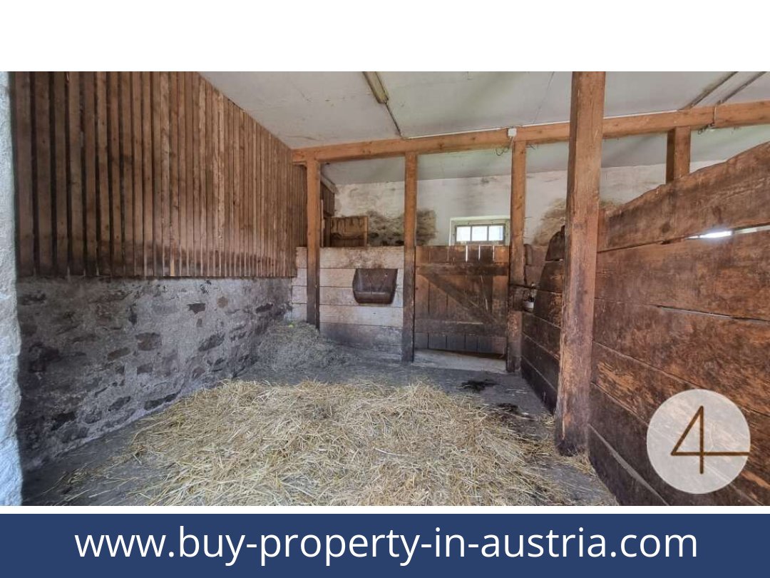 buy-property-in-austria-lichtenberg-3841-20250912041723-0011701027.jpg