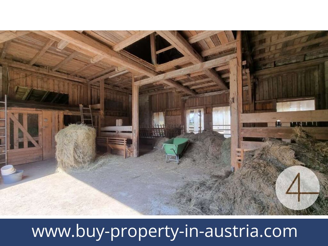 buy-property-in-austria-lichtenberg-3841-20250912041723-0011701028.jpg