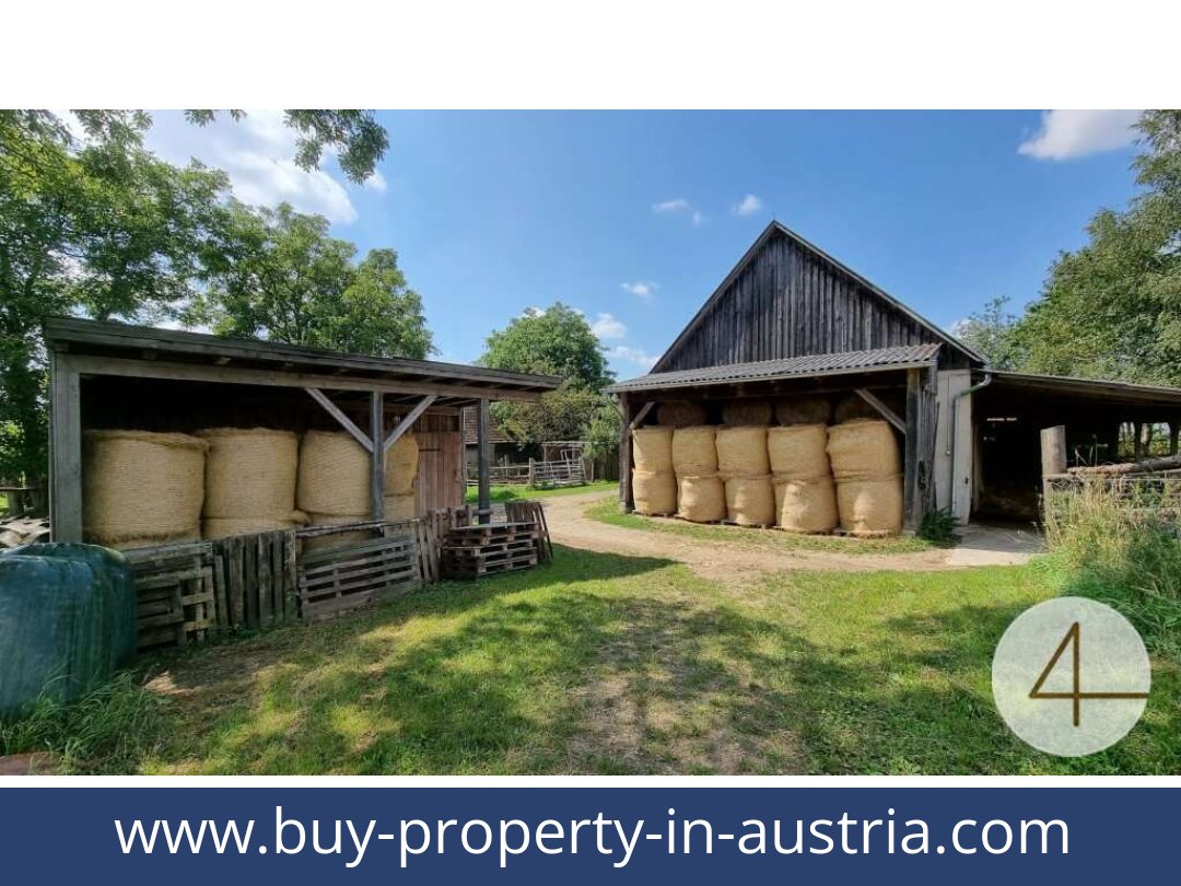 buy-property-in-austria-lichtenberg-3841-20250912041723-0011701029.jpg