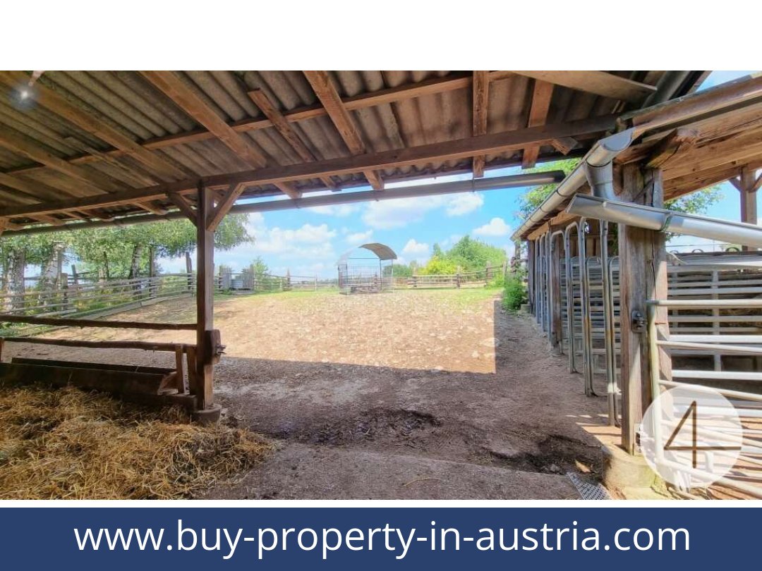 buy-property-in-austria-lichtenberg-3841-20250912041723-0011701030.jpg
