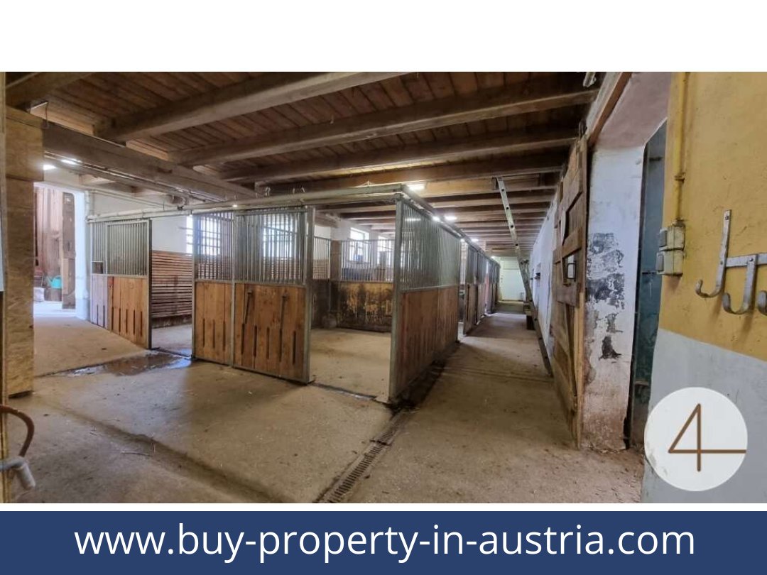 buy-property-in-austria-lichtenberg-3841-20250912041723-0011701031.jpg