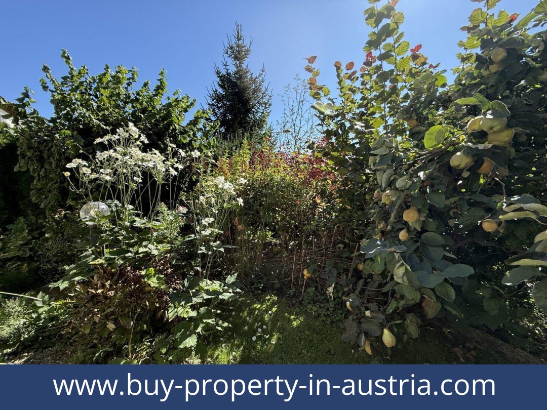 buy-property-in-austria-liezen-8940-20251202044742-0044711030.jpg