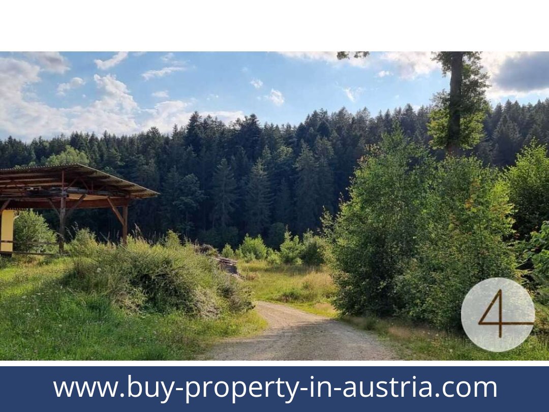 buy-property-in-austria-litschau-3874-20251201174756-0043401001.jpg