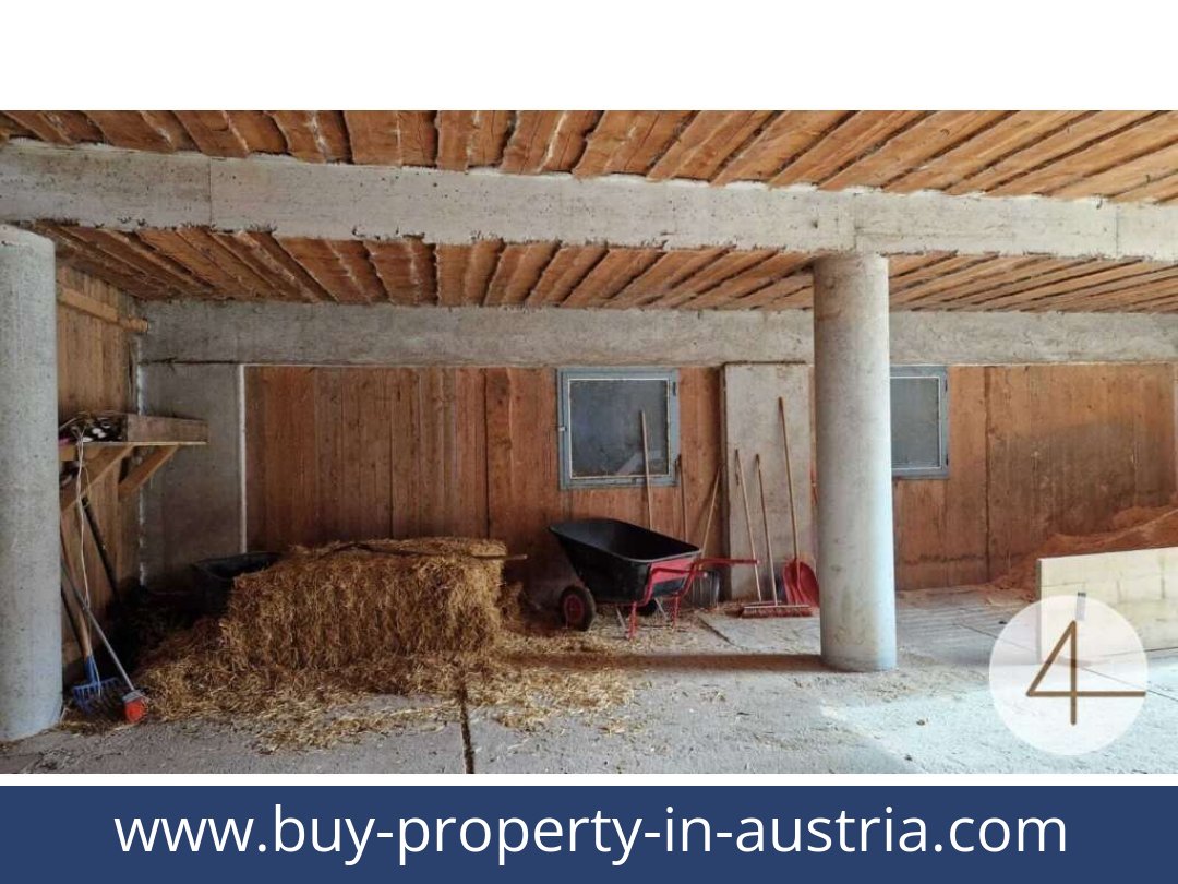 buy-property-in-austria-mank-3240-20260118204755-0059401006.jpg