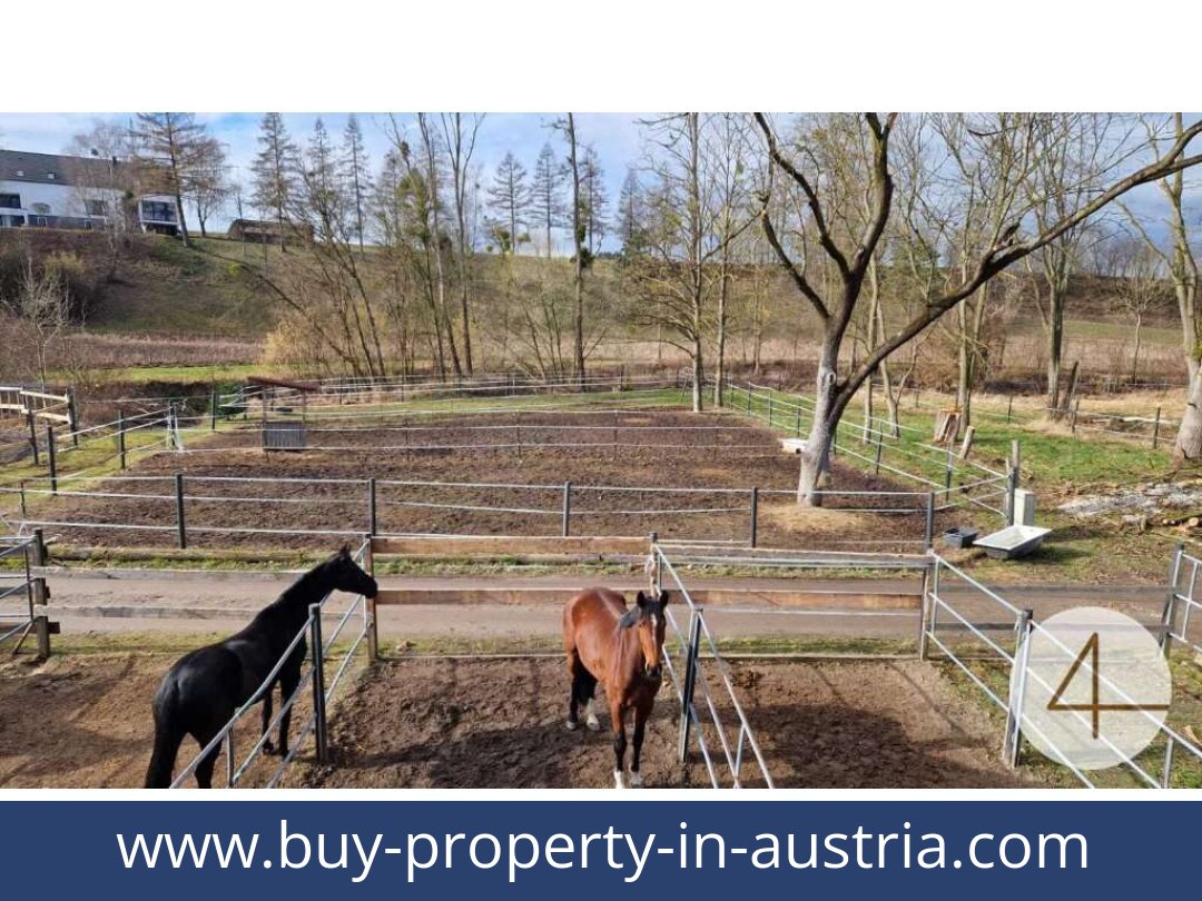 buy-property-in-austria-mank-3240-20260118204755-0059401013.jpg