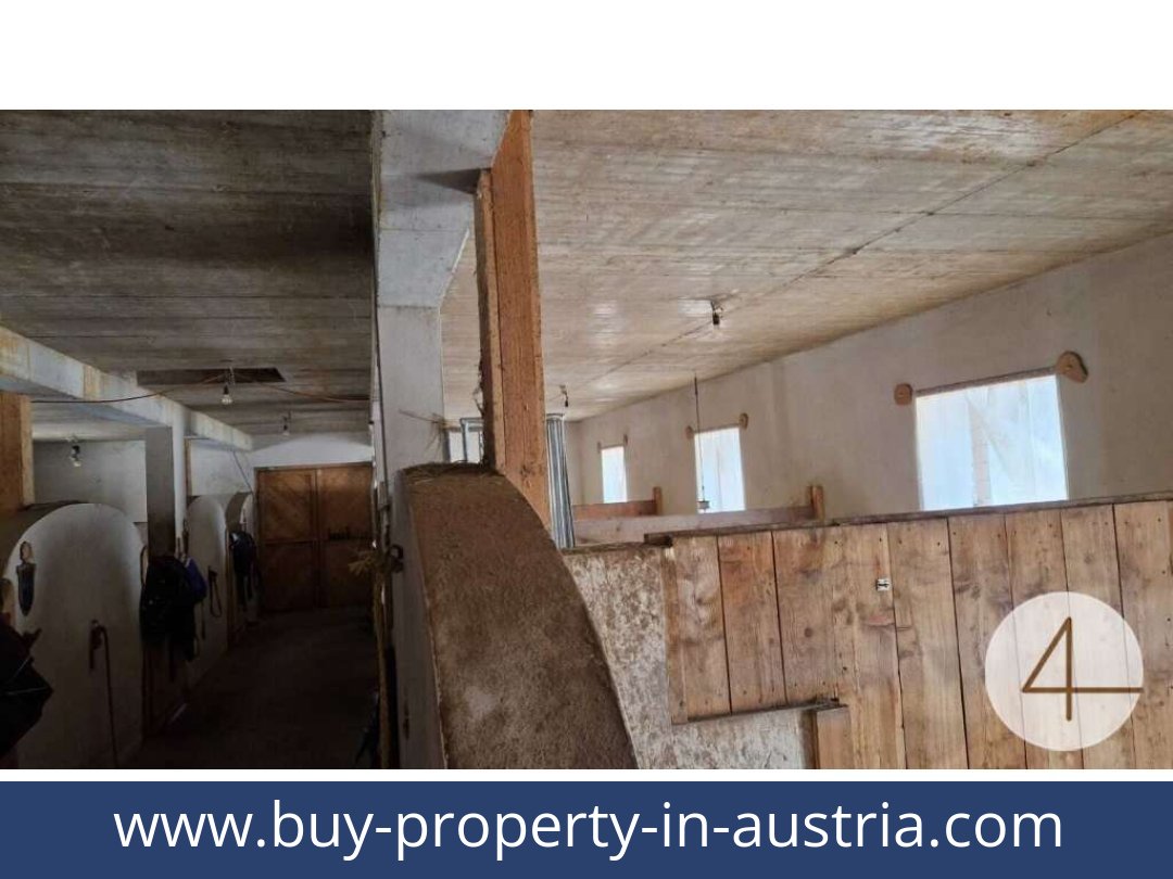 buy-property-in-austria-mank-3240-20260118204755-0059401020.jpg