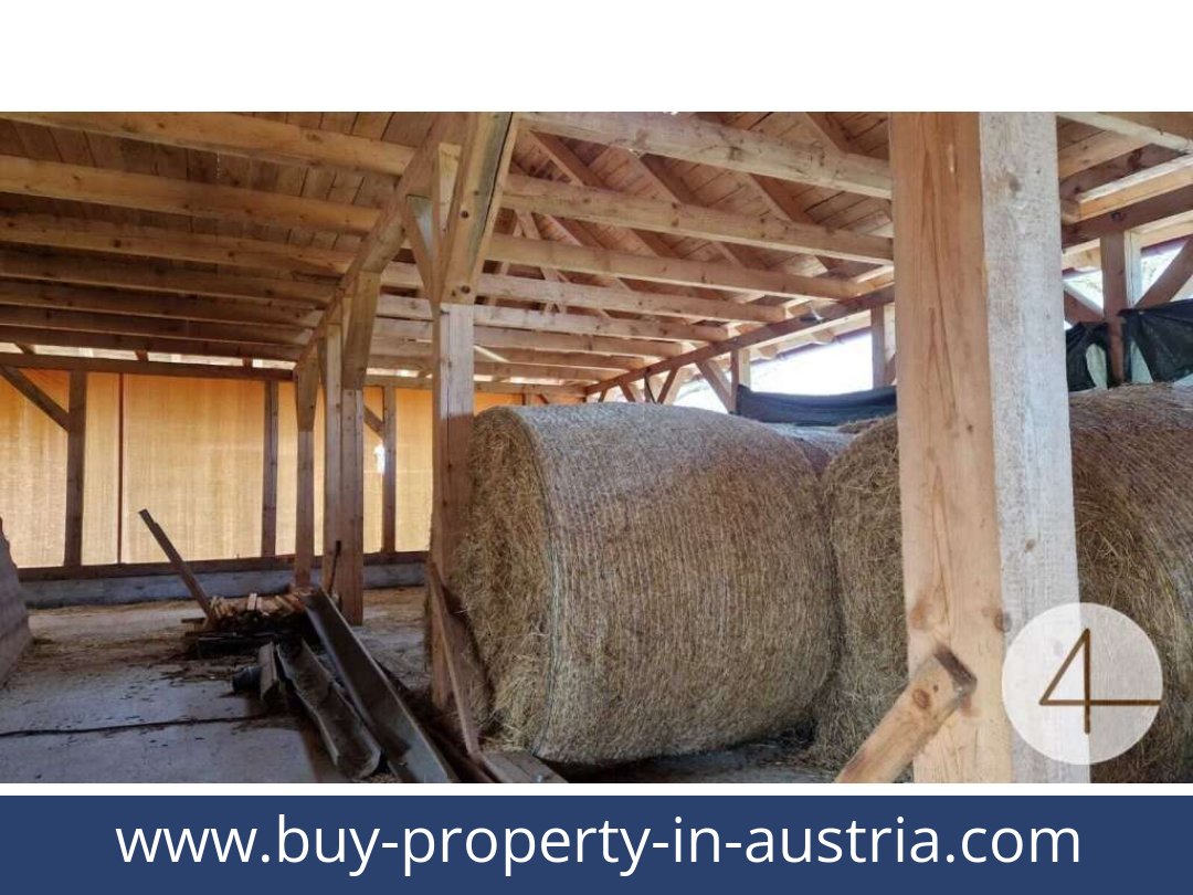 buy-property-in-austria-mank-3240-20260118204755-0059401029.jpg
