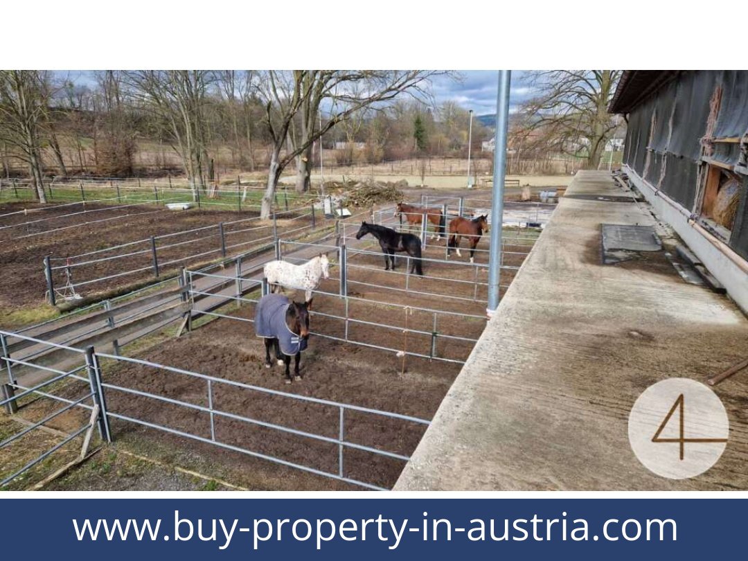 buy-property-in-austria-mank-3240-20260118204755-0059401031.jpg