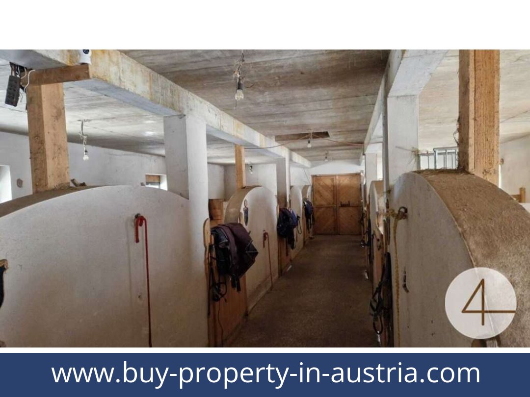 buy-property-in-austria-mank-3240-20260118204755-0059401033.jpg
