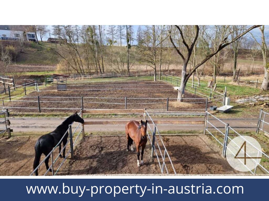 buy-property-in-austria-mank-3240-20260118204755-0059401037.jpg