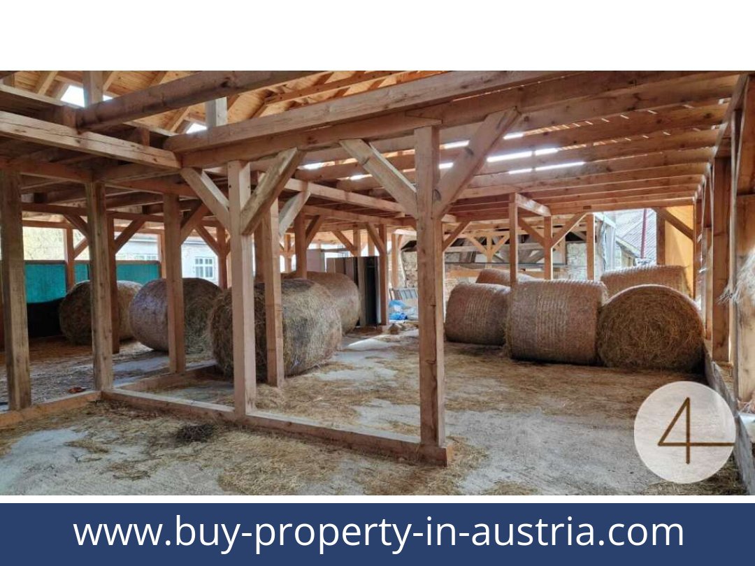 buy-property-in-austria-mank-3240-20260118204755-0059401039.jpg