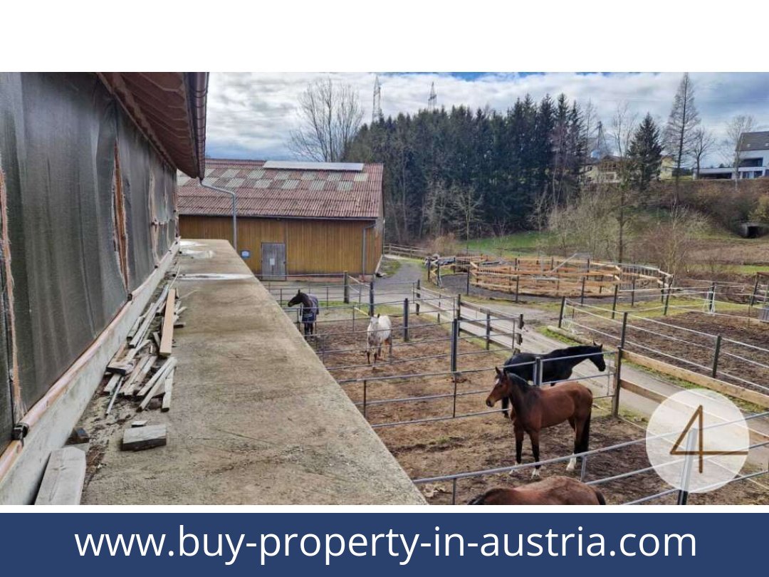 buy-property-in-austria-mank-3240-20260118204755-0059401040.jpg