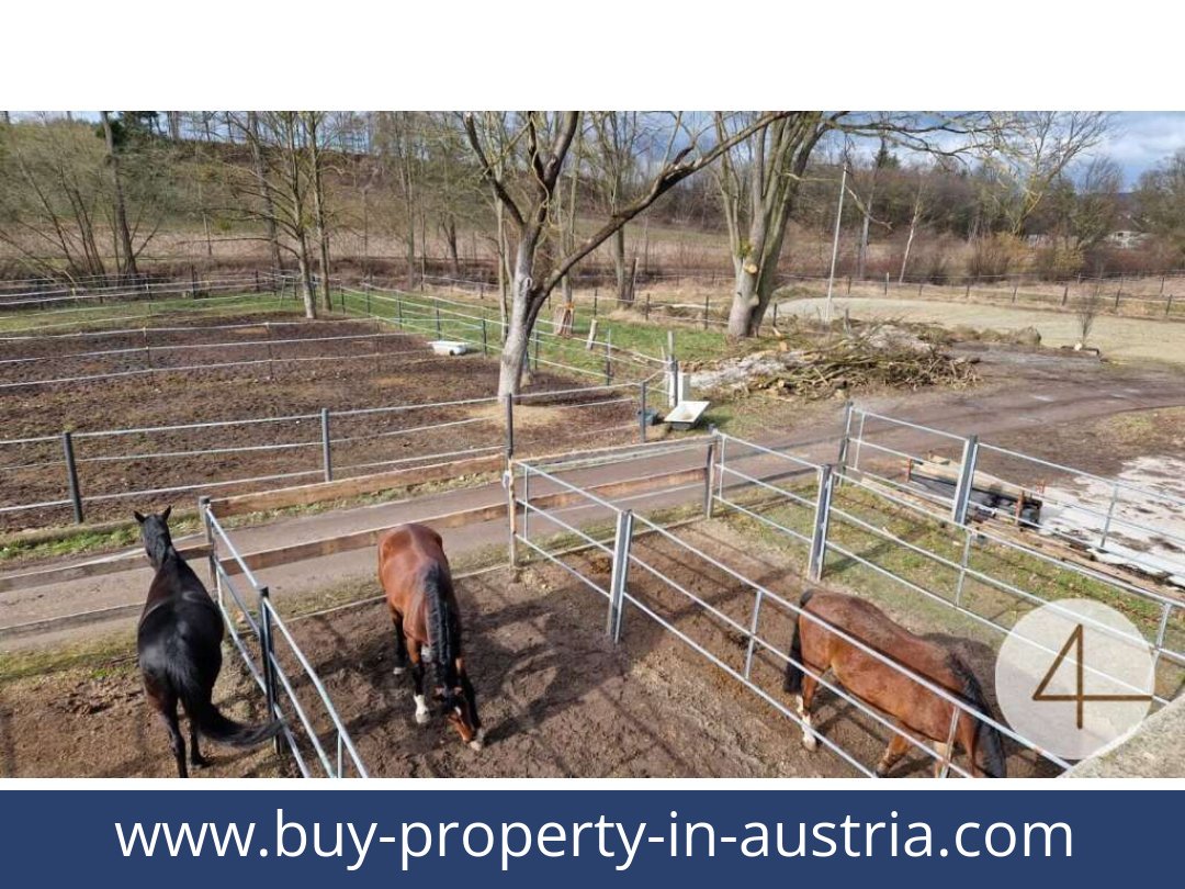 buy-property-in-austria-mank-3240-20260118204755-0059401043.jpg
