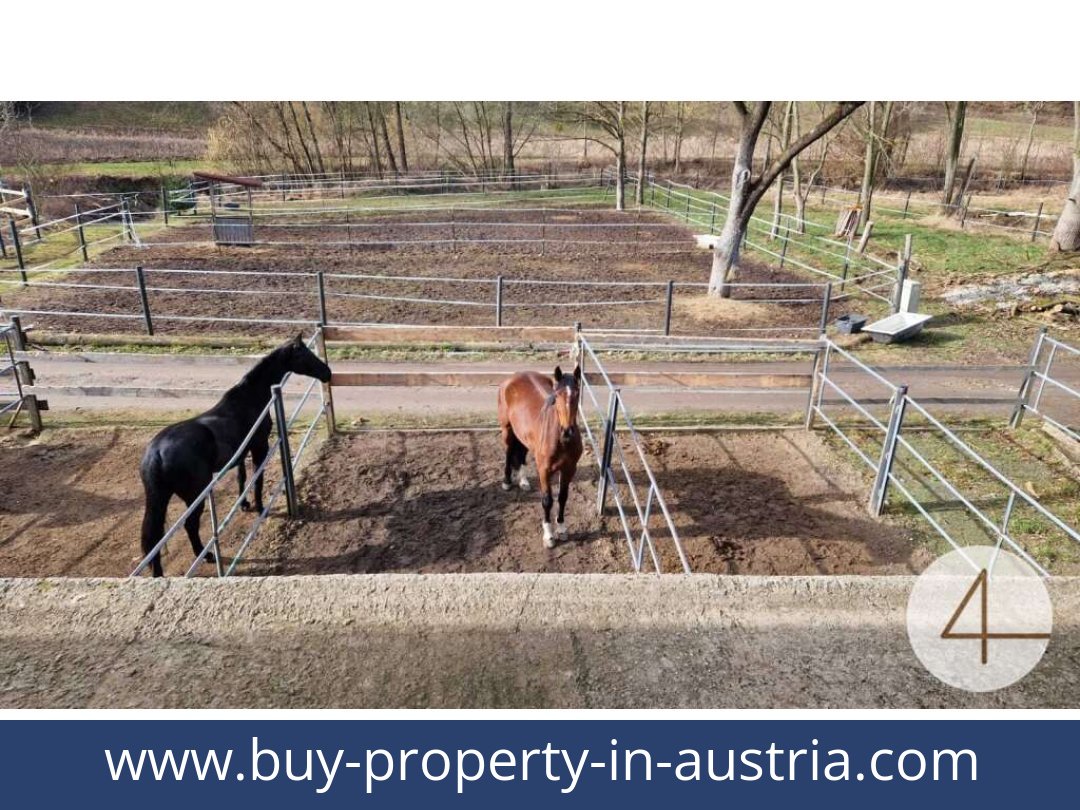 buy-property-in-austria-mank-3240-20260118204755-0059401046.jpg