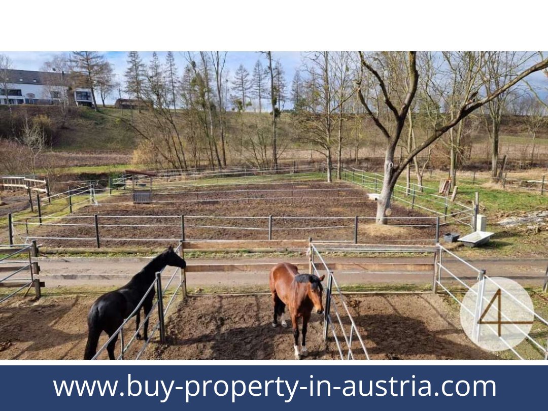 buy-property-in-austria-mank-3240-20260118204755-0059401048.jpg