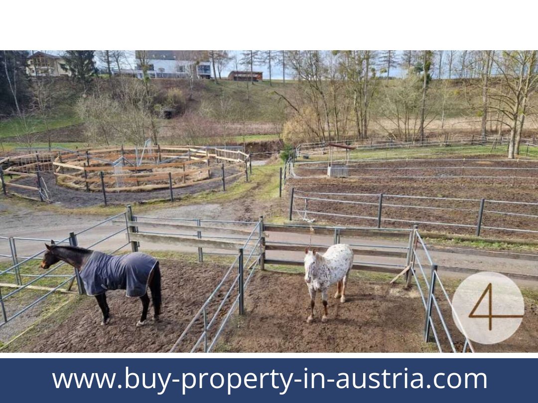 buy-property-in-austria-mank-3240-20260118204755-0059401052.jpg