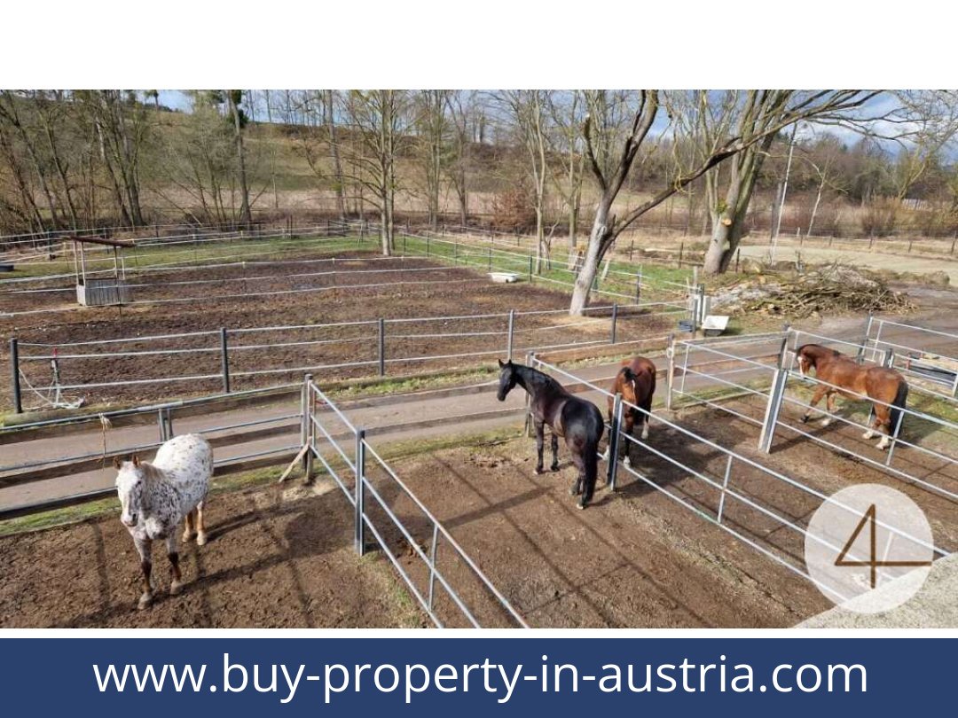 buy-property-in-austria-mank-3240-20260118204755-0059401053.jpg