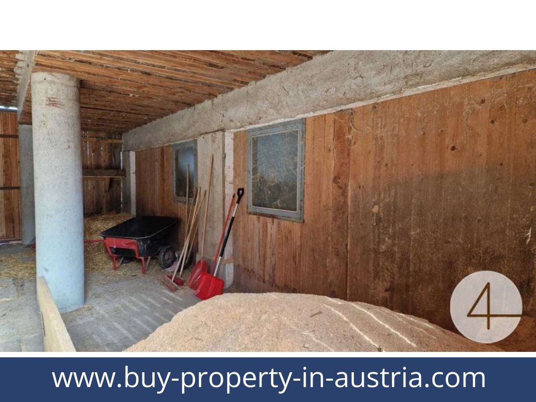 buy-property-in-austria-mank-3240-20260118204755-0059401057.jpg