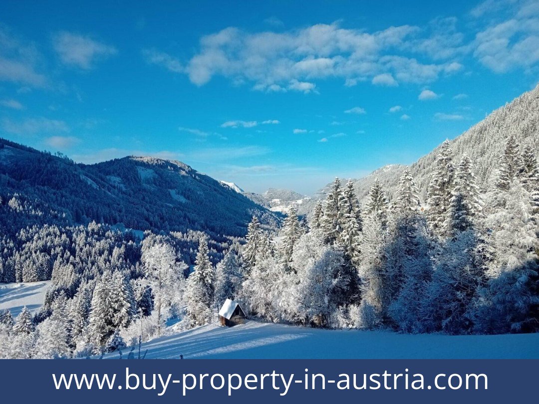 buy-property-in-austria-oppenberg-8786-20251202051740-0044811002.jpg