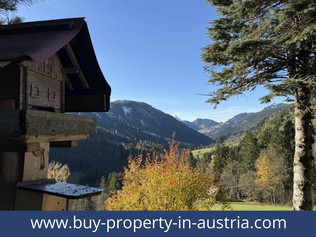 buy-property-in-austria-oppenberg-8786-20251202051740-0044811003.jpg