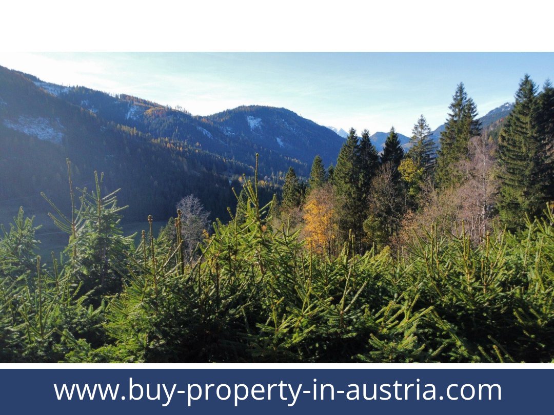 buy-property-in-austria-oppenberg-8786-20251202051740-0044811035.jpg