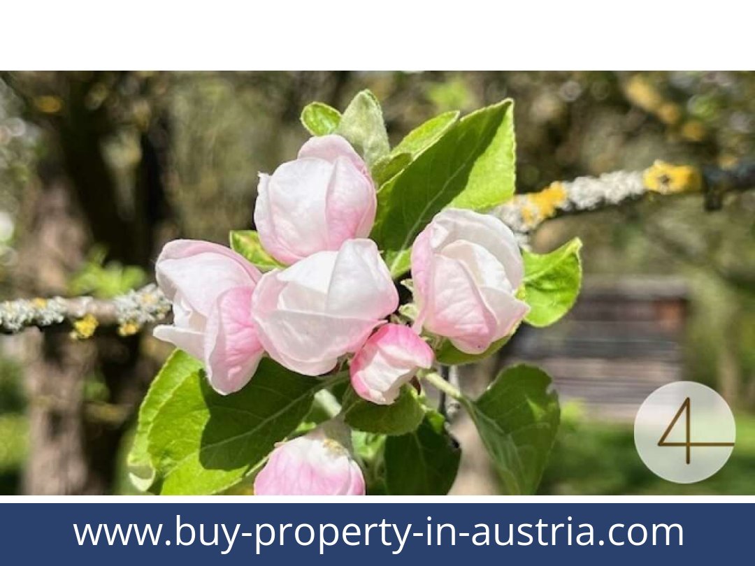 buy-property-in-austria-perwarth-3263-20250917051802-0028201007.jpg