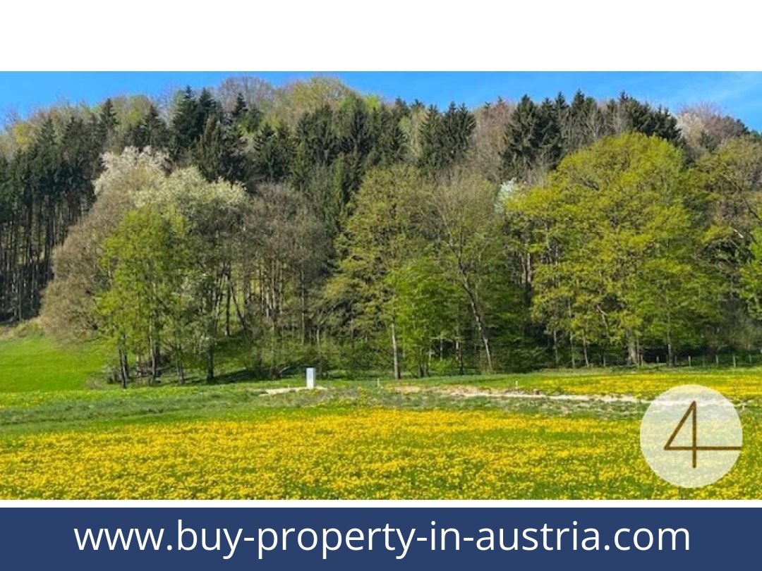 buy-property-in-austria-perwarth-3263-20251127131717-0041201002.jpg