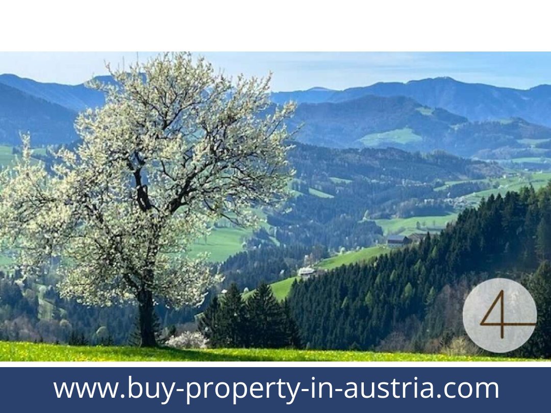 buy-property-in-austria-perwarth-3263-20251127131717-0041201005.jpg