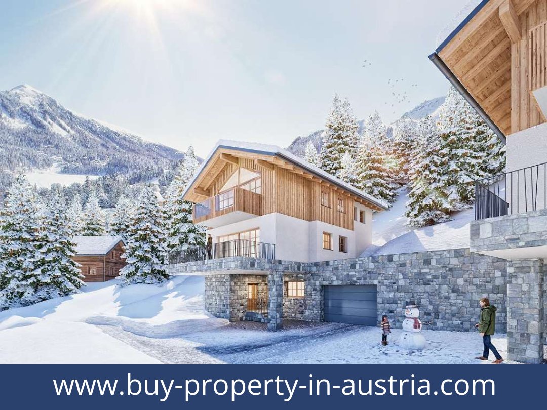 buy-property-in-austria-predlitz-8864-20250917104814-0030101001.jpg
