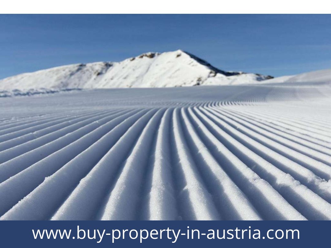buy-property-in-austria-predlitz-8864-20250917104814-0030101003.jpg