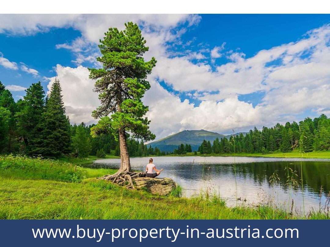 buy-property-in-austria-predlitz-8864-20250917104814-0030101004.jpg