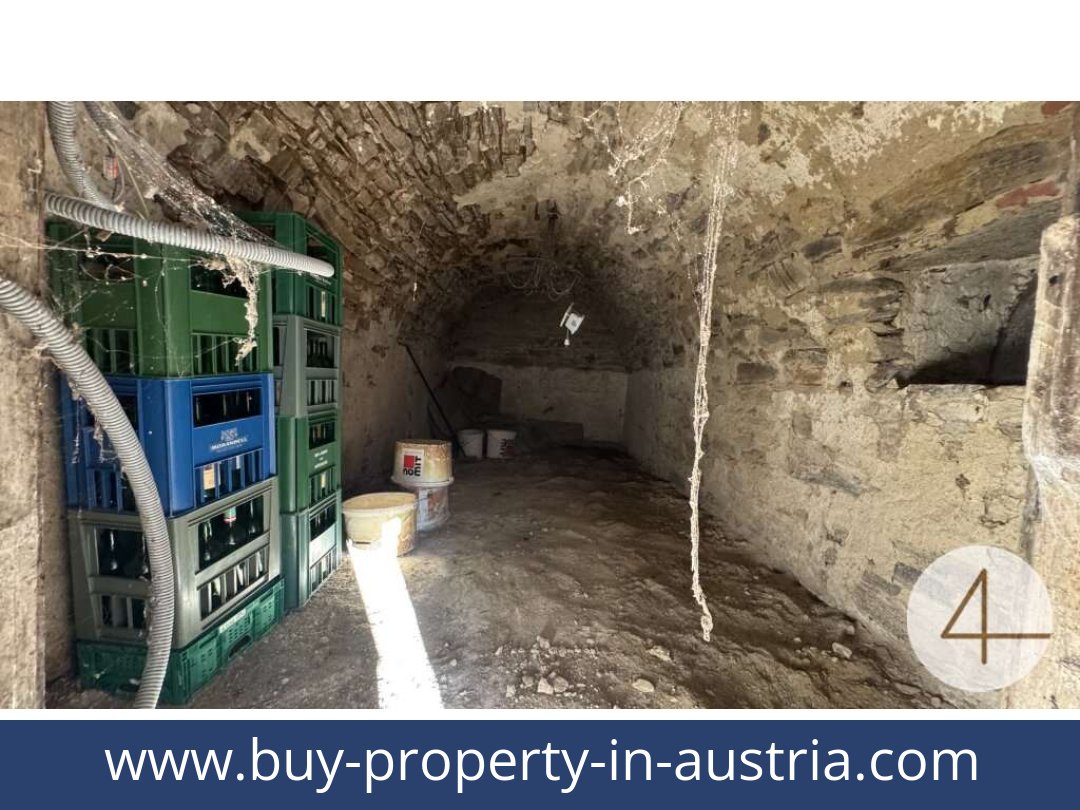 buy-property-in-austria-riegersburg-2092-20251204004735-0050201007.jpg