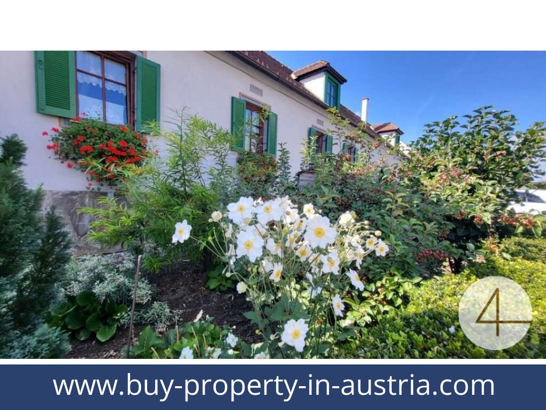 buy-property-in-austria-rohrenbach-3592-20250912211736-0016301007.jpg