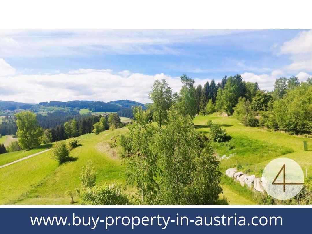 buy-property-in-austria-schonbach-3633-20250911214730-0009801008.jpg