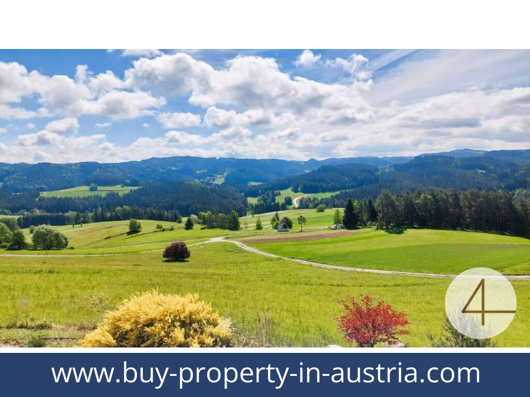 buy-property-in-austria-schonbach-3633-20250911214730-0009801009.jpg