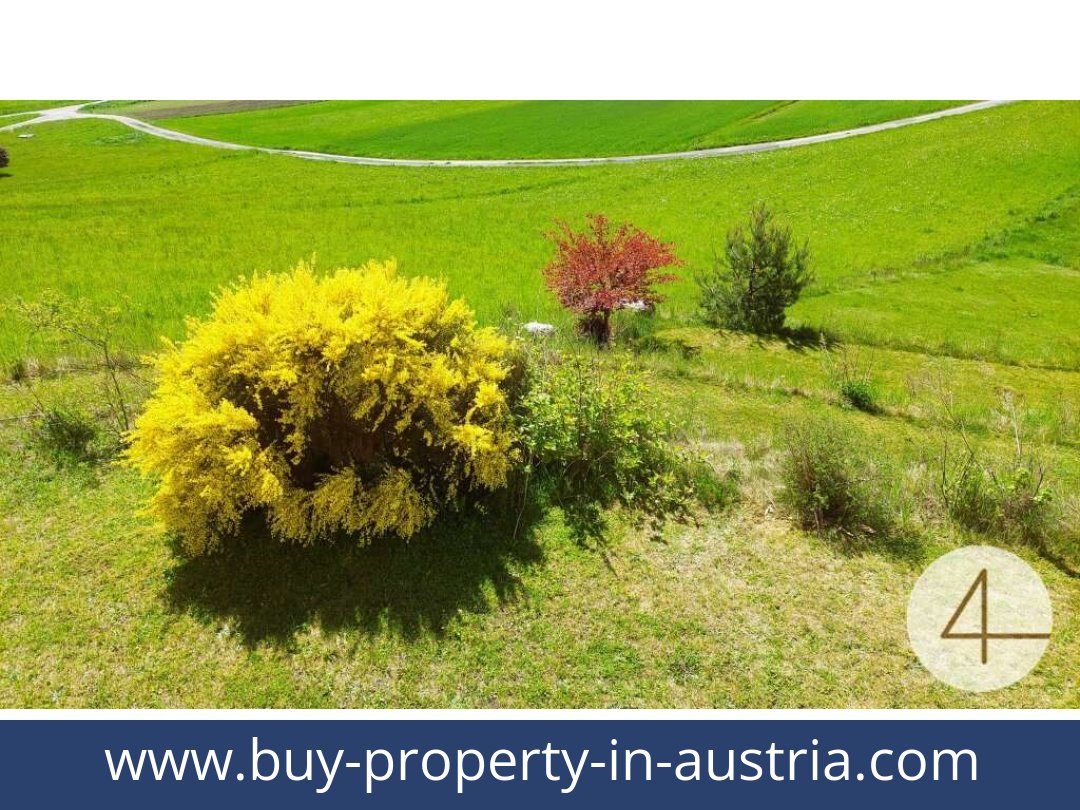 buy-property-in-austria-schonbach-3633-20250911214730-0009801011.jpg