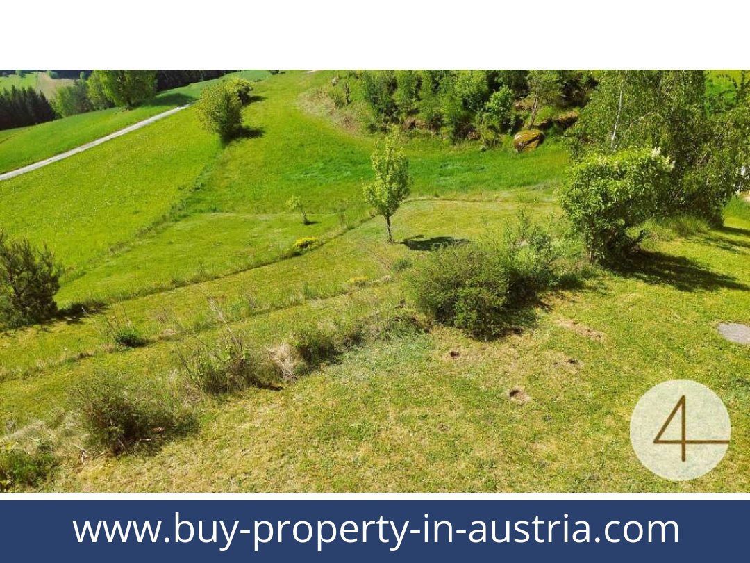 buy-property-in-austria-schonbach-3633-20250911214730-0009801012.jpg