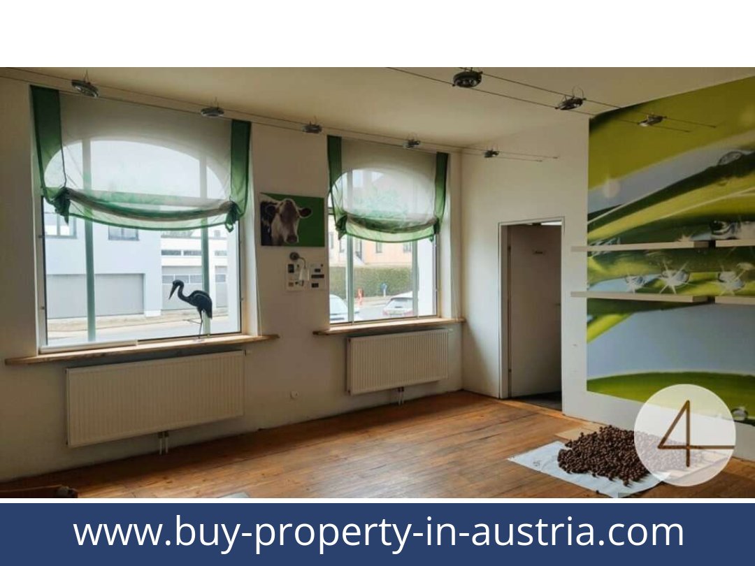 buy-property-in-austria-schwarzenau-3900-20260118061734-0057801009.jpg
