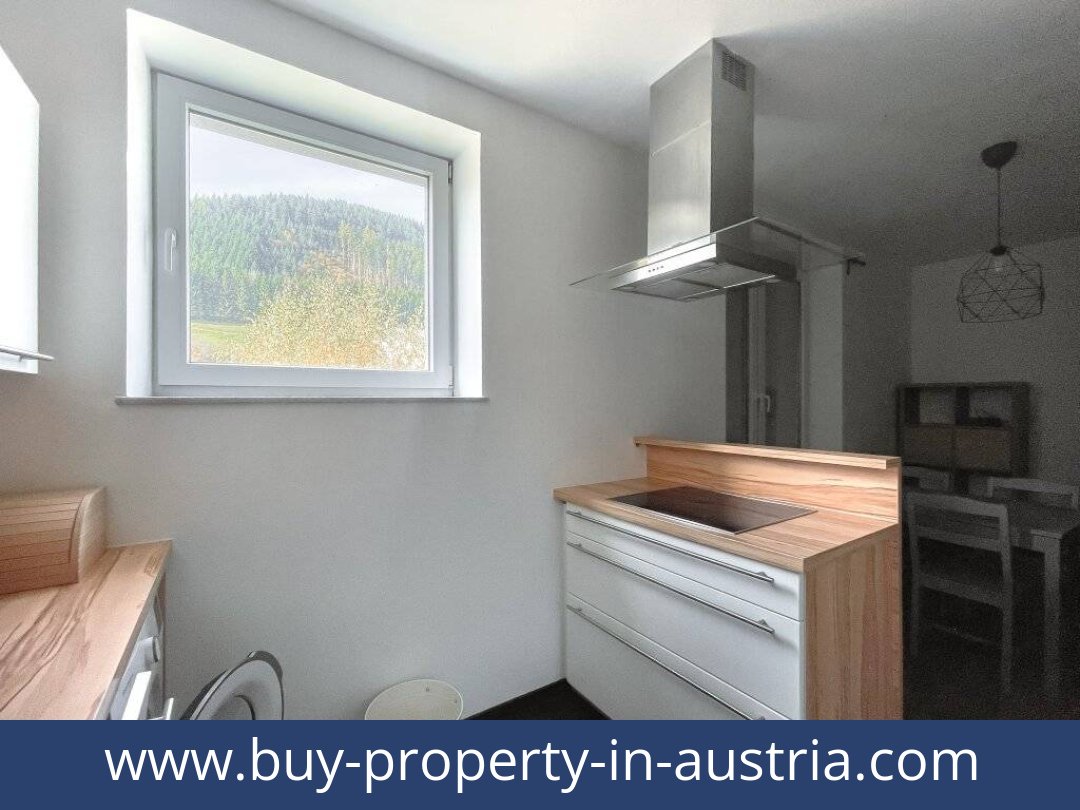 buy-property-in-austria-veitsch-8663-20260508183935-0084501006.jpg