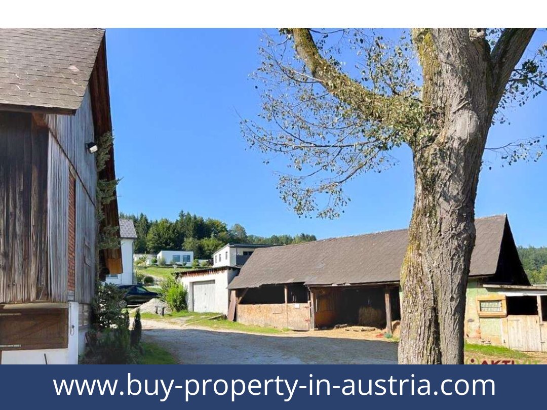 buy-property-in-austria-voitsberg-8570-20250912011747-0010601027.jpg