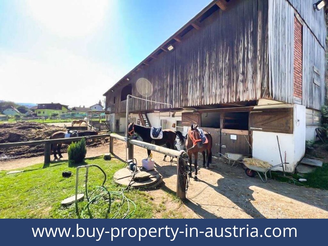 buy-property-in-austria-voitsberg-8570-20250912011747-0010601029.jpg