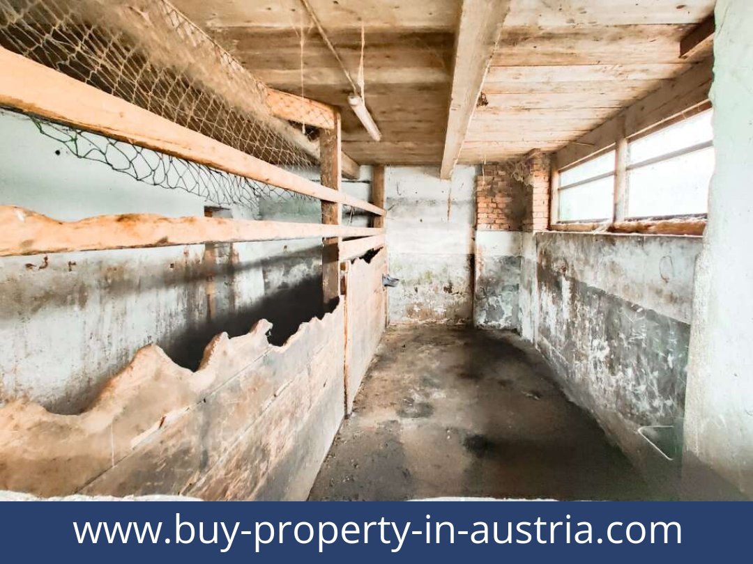 buy-property-in-austria-voitsberg-8570-20250912011747-0010601031.jpg