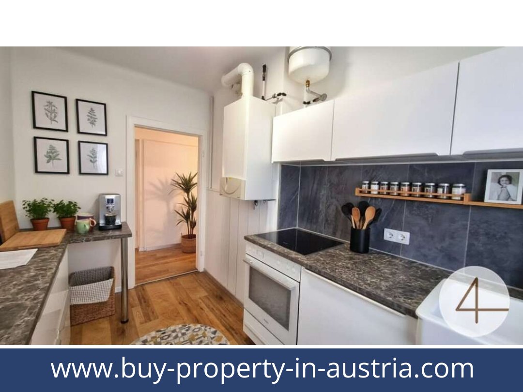 buy-property-in-austria-wels-4600-20251003201741-0031701009.jpg