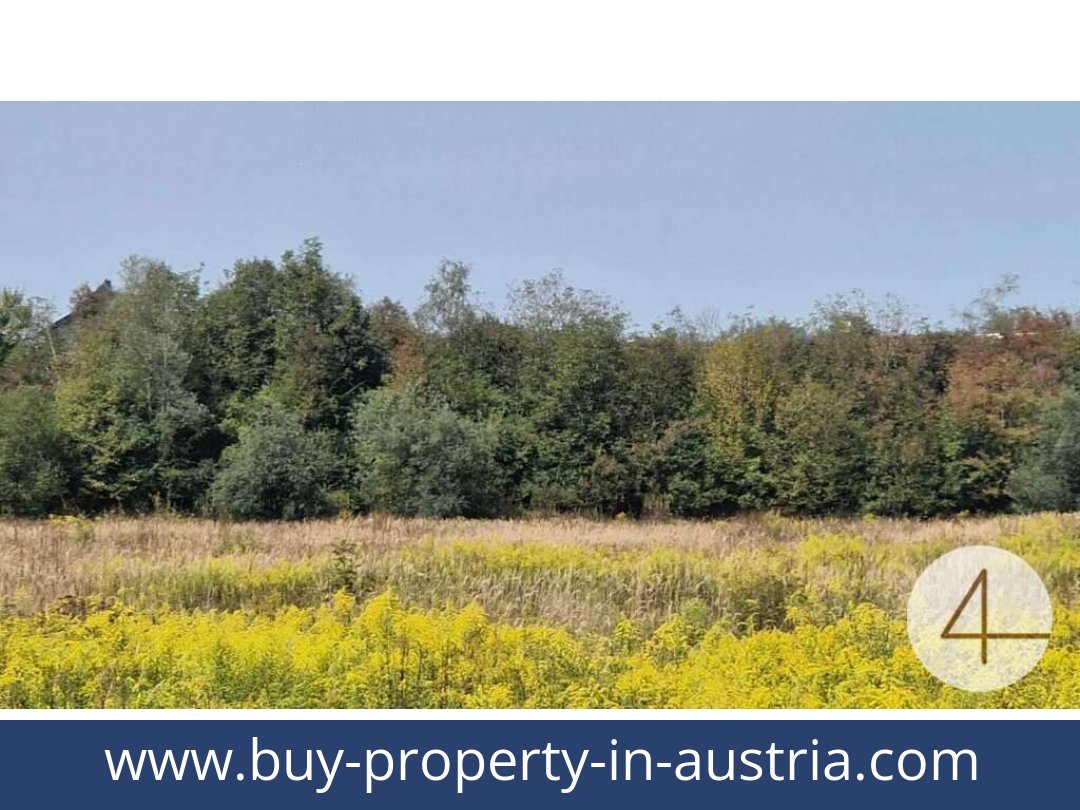 buy-property-in-austria-wels-4600-20251201044724-0042301005.jpg