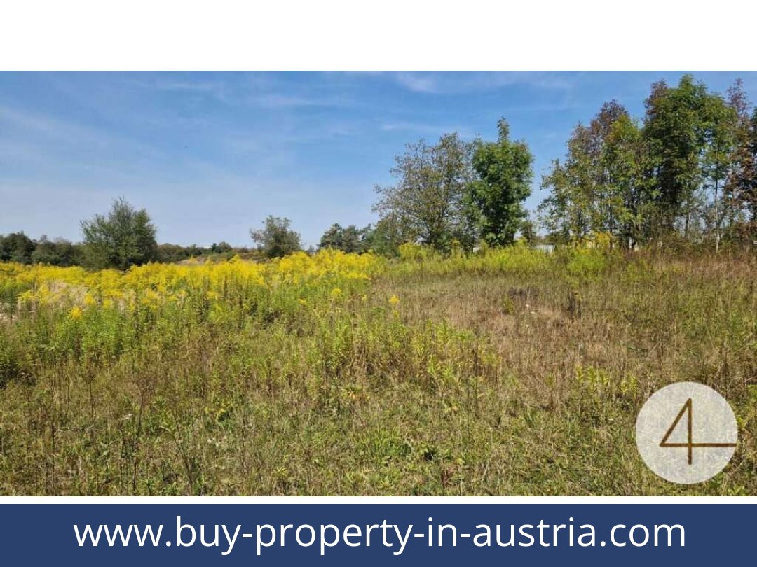 buy-property-in-austria-wels-4600-20251201044724-0042301006.jpg