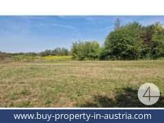 buy-property-in-austria-wels-4600-20251201044724-0042301009_240.jpg