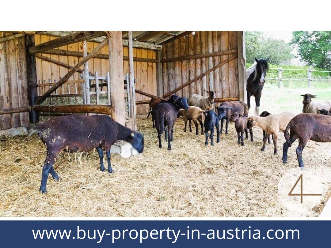 buy-property-in-austria-windigsteig-3841-20260119064739-0061301002.jpg
