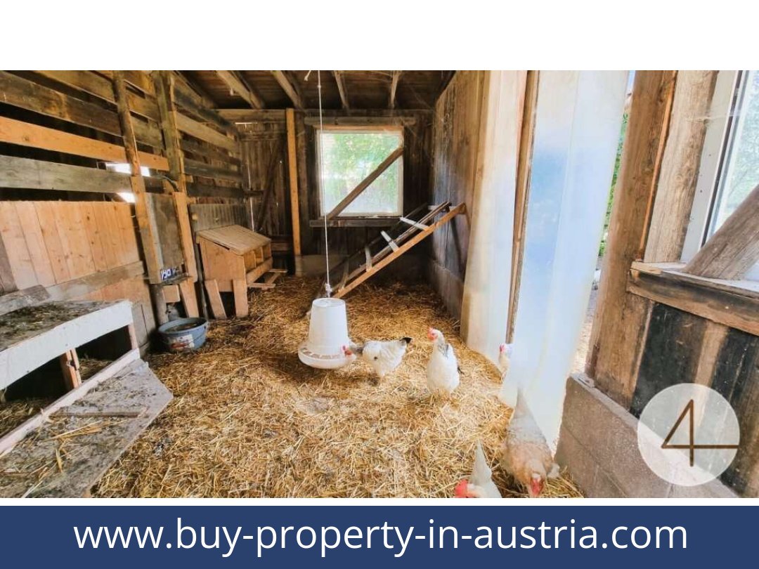 buy-property-in-austria-windigsteig-3841-20260119064739-0061301023.jpg